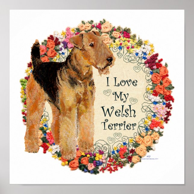 Love My Welsh Terrier Poster (Front)