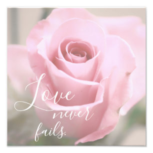 Love Never Fails Bible Verse Quote Pink Rose Photo Print
