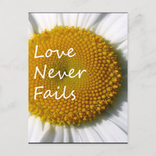 Love Never Fails Daisy 1 Corinthians 13 Postcard