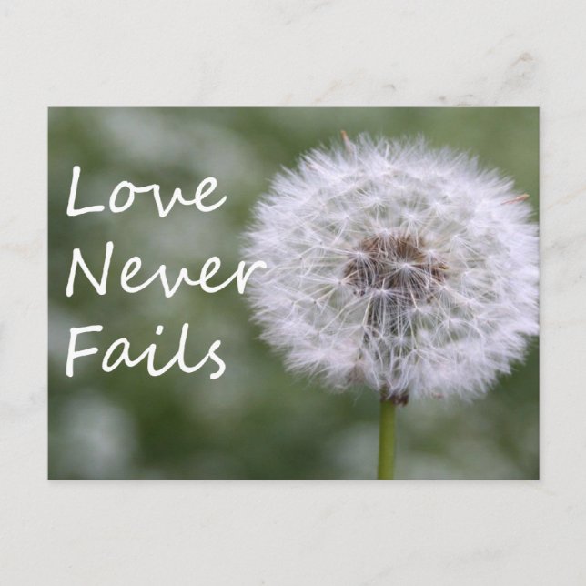 Love Never Fails Dandelion1 Corinthians 13 Postcard (Front)