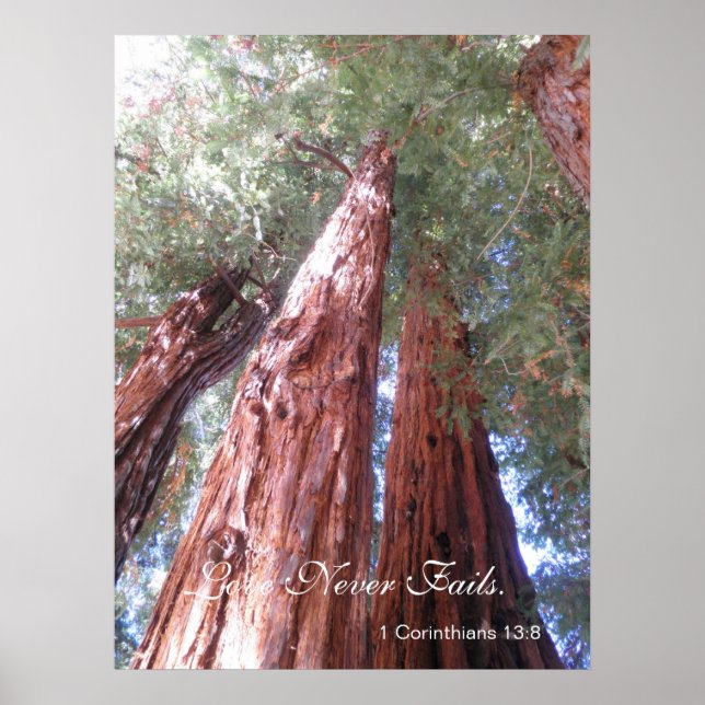 Love Never Fails Poster (Front)