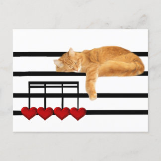 Love notes from the cat postcard