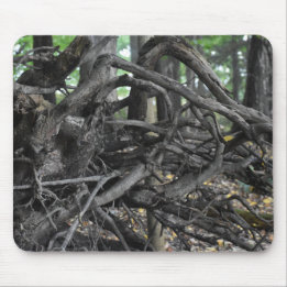 Love of a Fallen Tree Mouse Mat