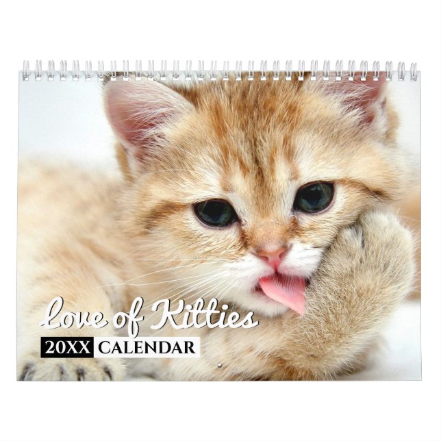 Love of Kitties Photo Wall Calendar (Cover)