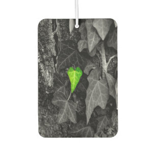Love of nature car air freshener