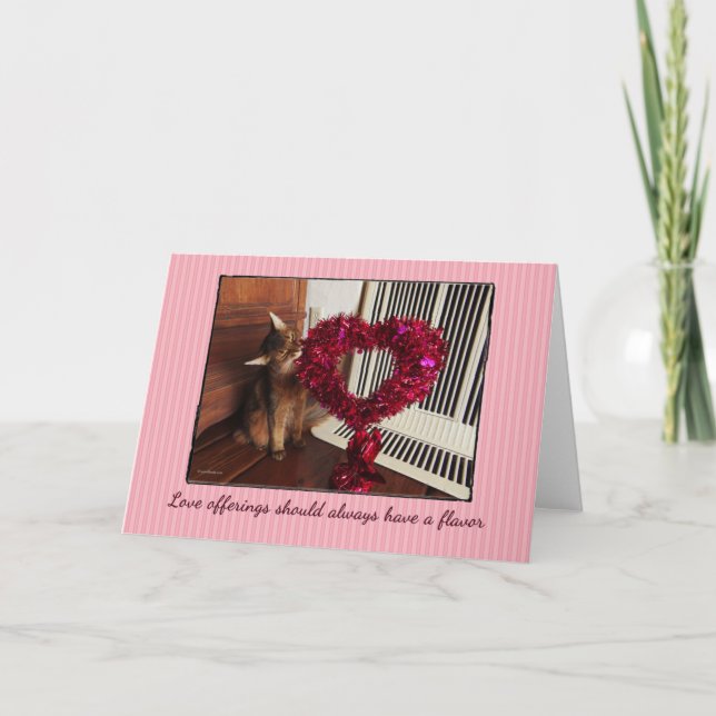 Love Offerings Somali Cat Card (Front)