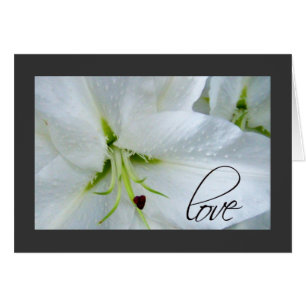 Love on a calla lily