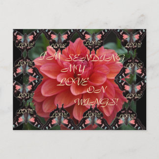 LOVE ON WINGS! Postcard