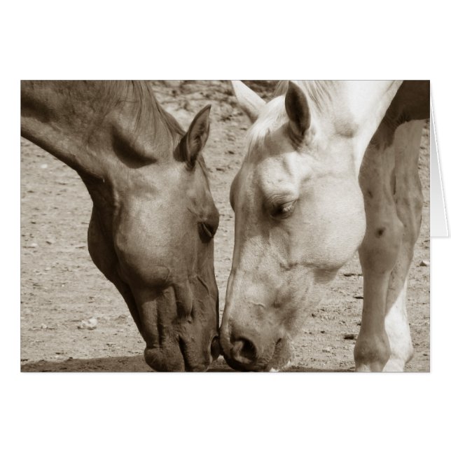 Love One Another (Front Horizontal)