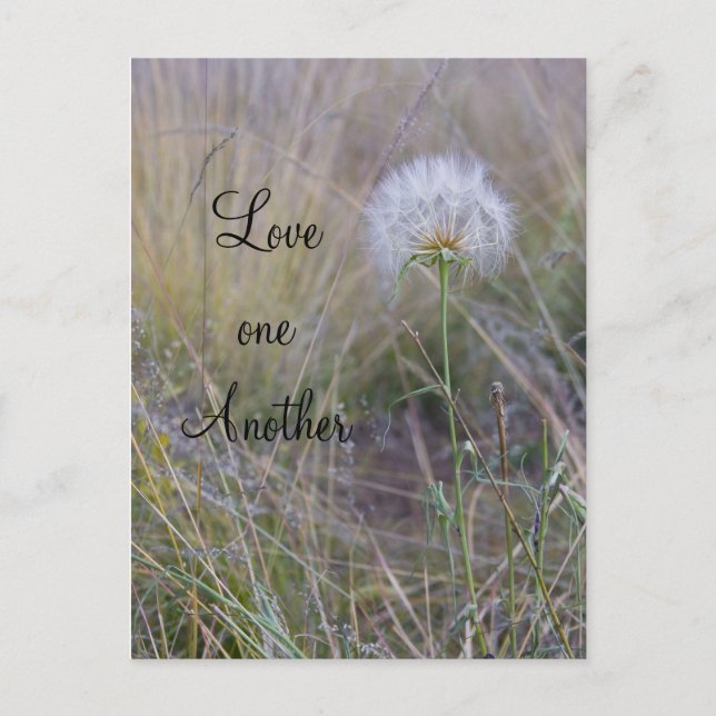 Love one another postcard (Front)