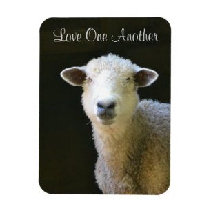 Love One Another Sheep Magnet