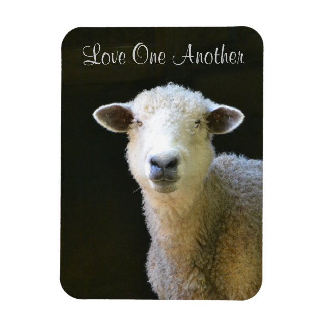 Love One Another Sheep Magnet (Vertical)