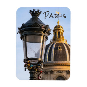 Love padlocks on the Pont des arts in Paris Magnet