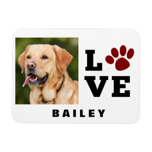 Love Paw Print Animal Lover Dog Lover Photo Magnet