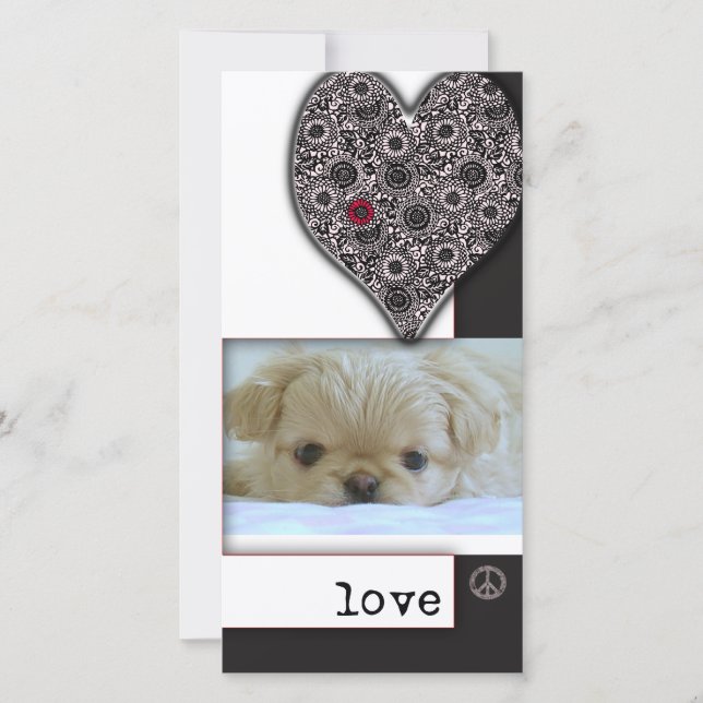 Love, peace and dogs (Front)