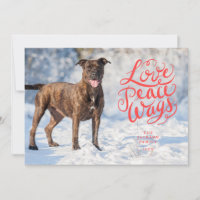 Love Peace Wags Red Script Dog Photo