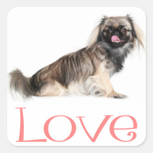 Love Pekingese Puppy Dog Pink Sticker / Seal