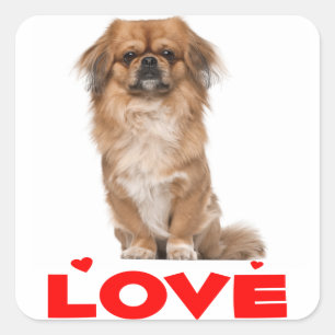 Love Pekingese Puppy Dog Red Heart Sticker / Seal