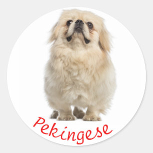 Love Pekingese Puppy Dog Sticker / Seal