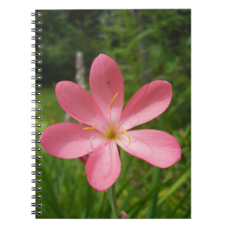 Love Pink Notebook