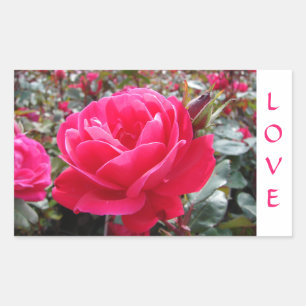 Love Pink Romance  Rose  Stickers