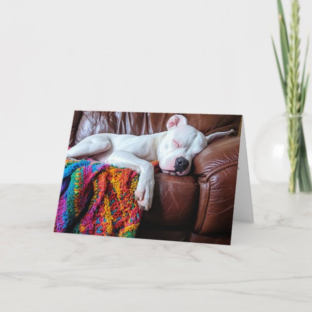 Love Pitbull Dog Sleeping on the Couch Thank You Card (Front)