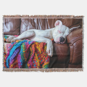 Love Pitbull Dog Sleeping on the Couch Throw Blanket