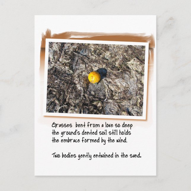 Love Poem and Beached Orange Postcard (Front)