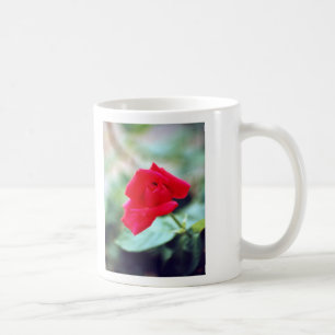 Love Poem and Red Rose Bud Coffee Mug