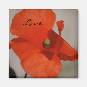 Love Poppy Magnet