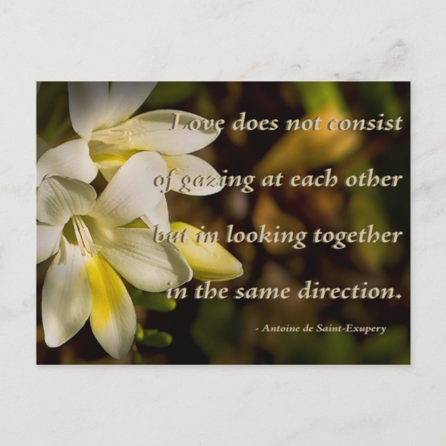 Love ... postcard (Front)