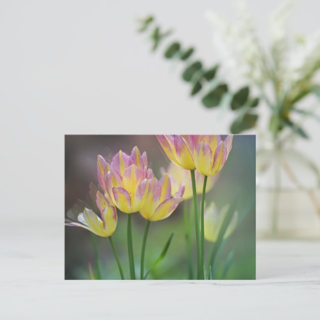 Love Postcard (Standing Front)