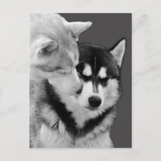 love postcard