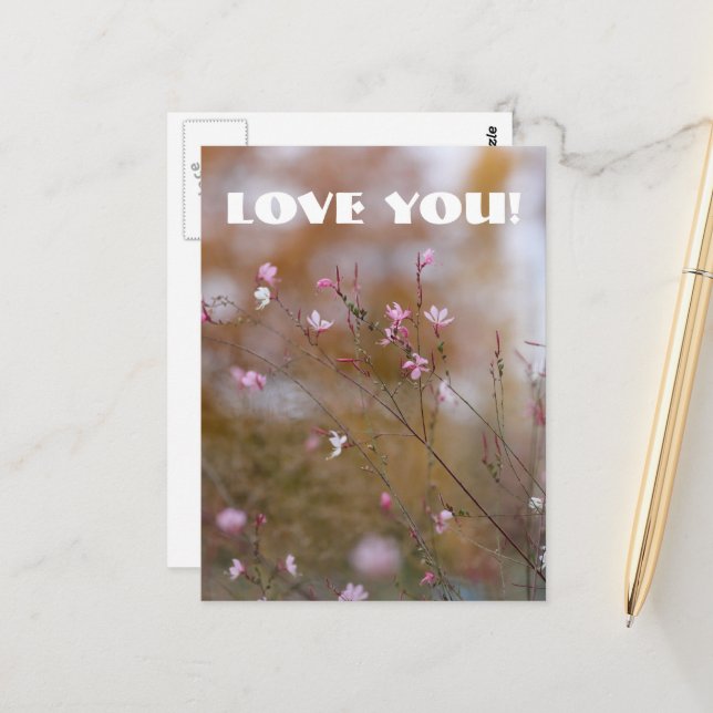 Love Postcard (Front/Back In Situ)