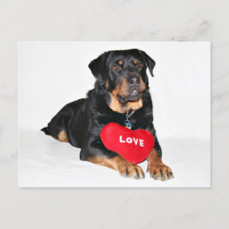 Love Postcard