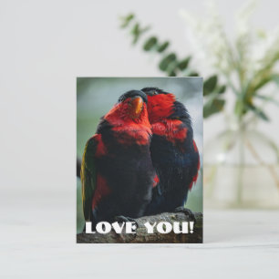Love Postcard