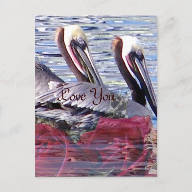 Love_ Postcard (Front)