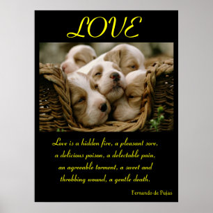 LOVE Posters Animal 4