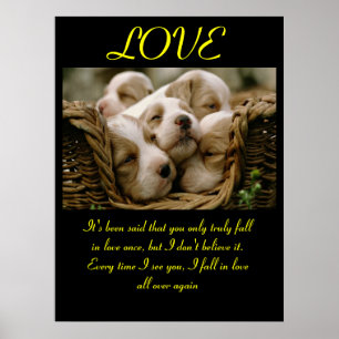 LOVE Posters Animal 5