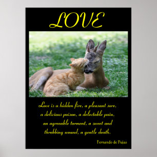 LOVE Posters Animal 6