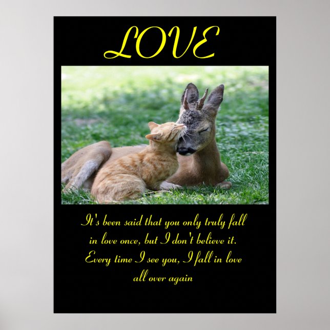LOVE Posters Animal 7 (Front)