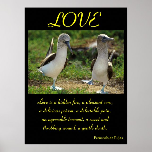 LOVE Posters Animal 7 (Front)