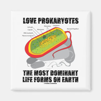 Love Prokaryotes Most Dominant Life Forms On Earth Magnet