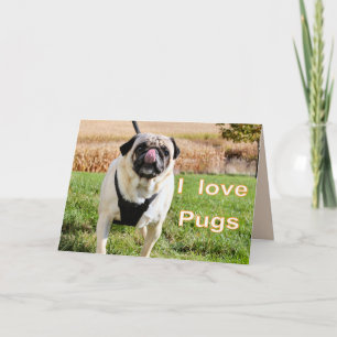 Love pugs card