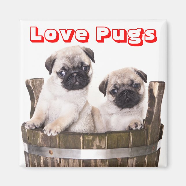 Love Pugs Puppy Dogs in Wooden Barrel Crate Magnet (Front)