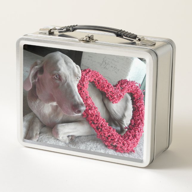 Love, Rain - Weimaraner Dog Metal Lunch Box (Front)