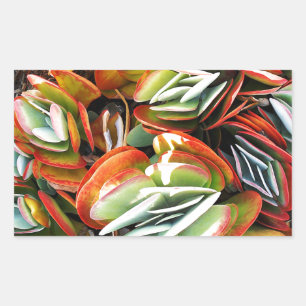 Love_ Rectangular Sticker