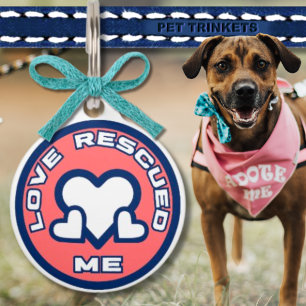 Love Rescued Me Blue and Pink Hearts Dog Cat Pet Tag