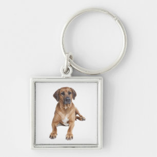 Love Rhodesian Ridgeback Puppy Dog Keychain