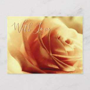 Love Rose Flower Customisable Postcard
